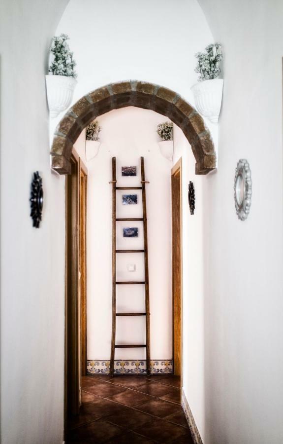 Casa Vitoria Guest House Évora Exteriör bild